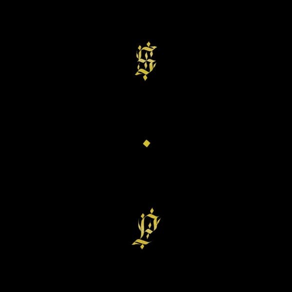 Shabazz Palaces - Black Up (CD)