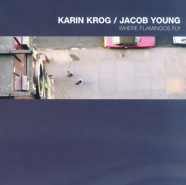 Karin Krog & Jacob Young - Where Flamingos Fly (CD)