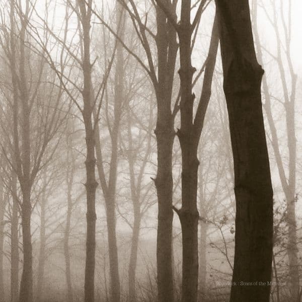 Blueneck - Scars Of The Midwest (CD)
