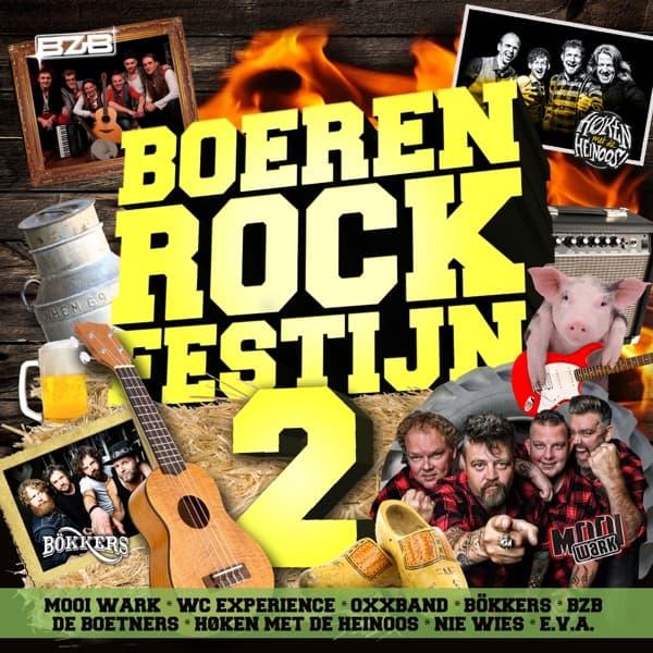 Various Artists - Boerenrock Festijn - Deel 2 (CD)