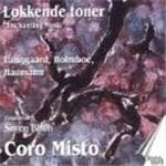S Ren Birch Coro Misto - Danish Choral Music (Langgaard, Hol