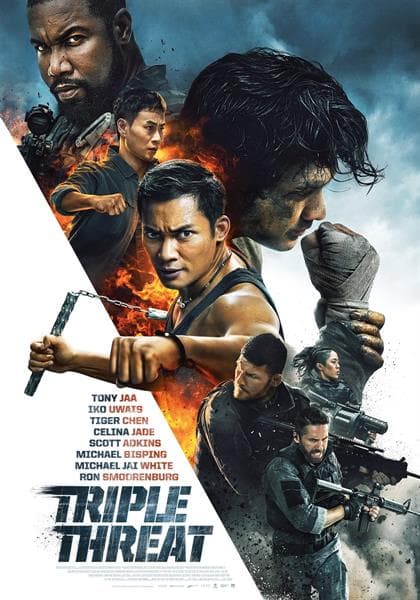 Triple Threat (DVD)