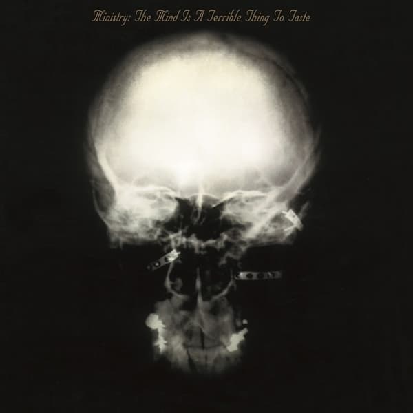 Ministry - The Mind Is A Terrible Thing To Taste (LP)