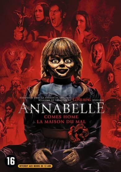 Annabelle Comes Home  (DVD)