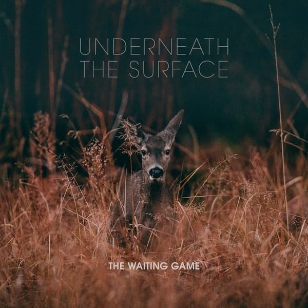 Waiting Game - Underneath The Surface (LP)