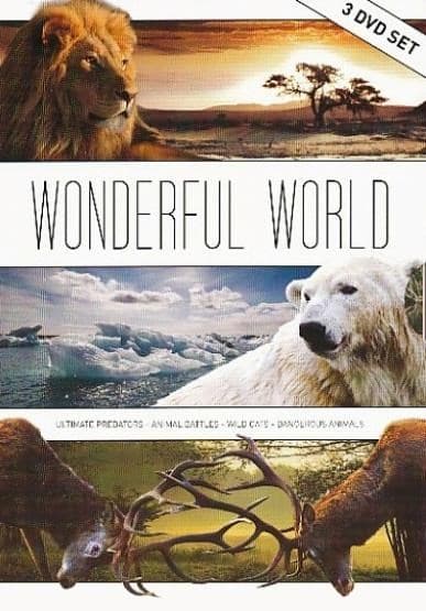 Wonderful World Box (DVD)