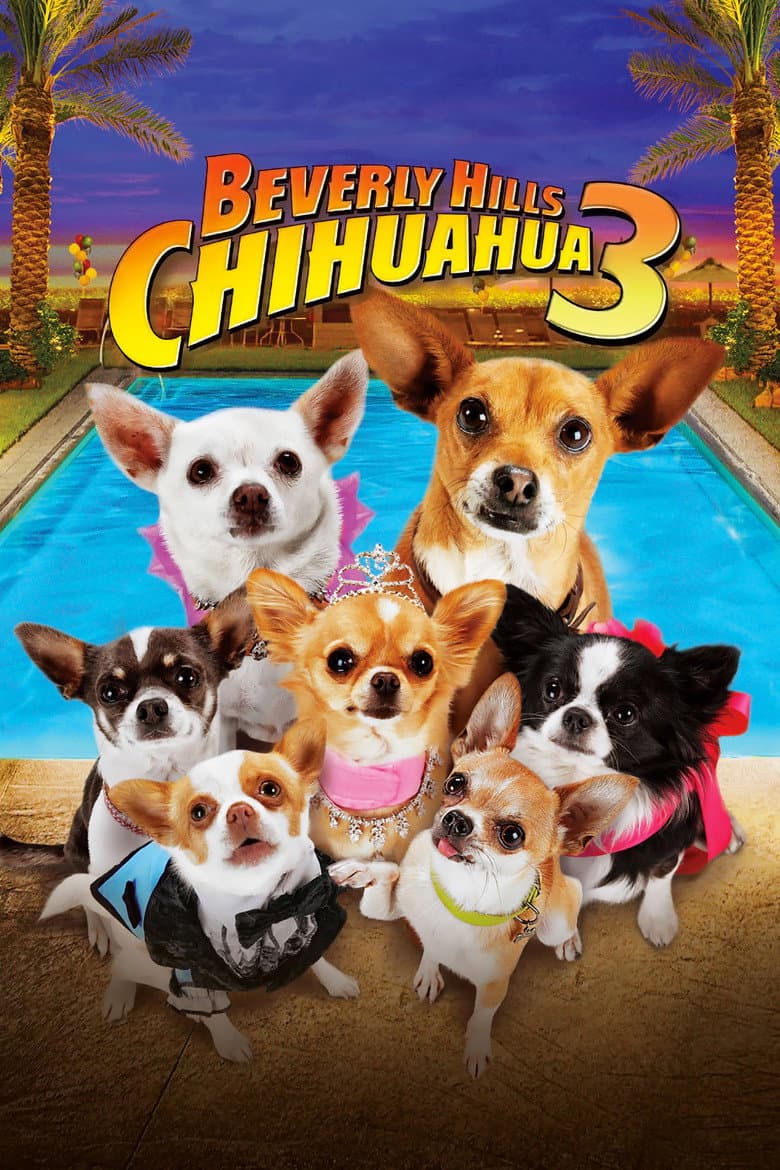 Beverly Hills chihuahua 3