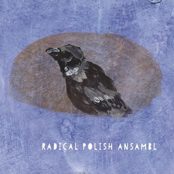Radical Polish Ansambl - Radical Polish Ansambl (CD)