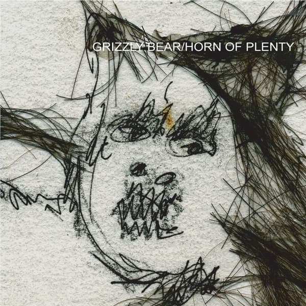 Grizzly Bear - Horn Of Plenty (LP) (Coloured Vinyl)