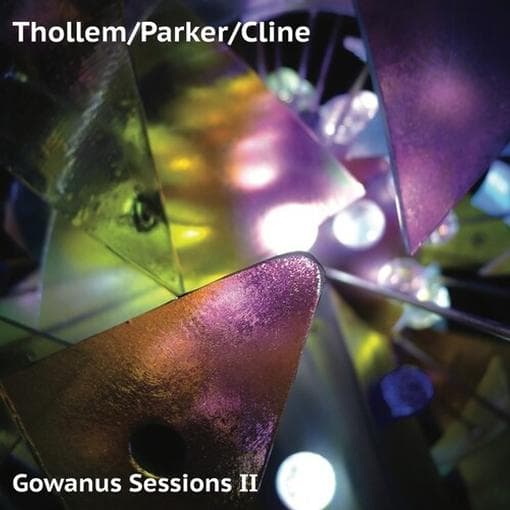 Thollem McDonas, William Parker & Nels Cline - Gowanus Sessions II (LP)