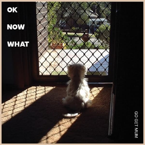 Go Get Mum - Ok Now What (12" Single)