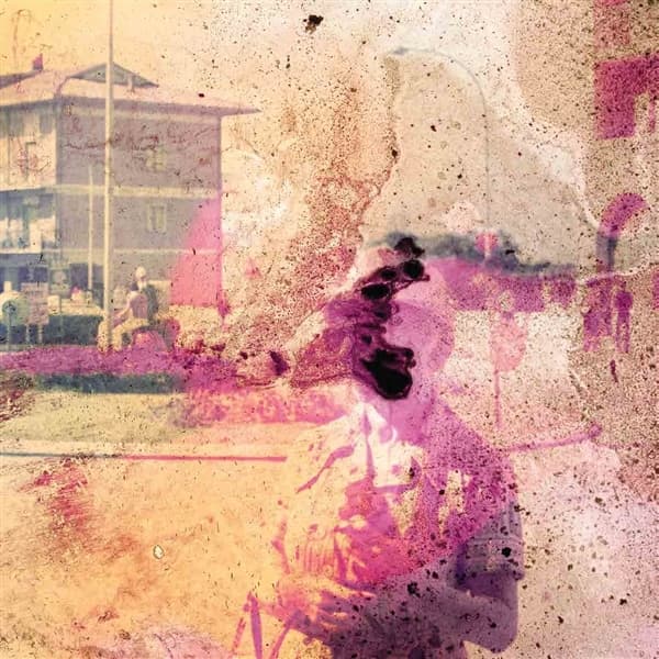 Sunflower - The Spiders We Caught (LP)