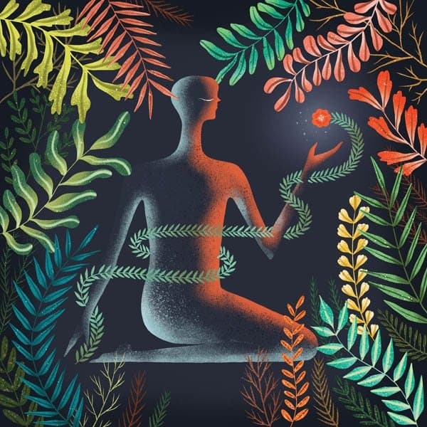 Loma - Don't Shy Away (LP)