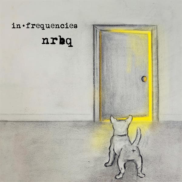 NRBQ - In Frequencies (LP)