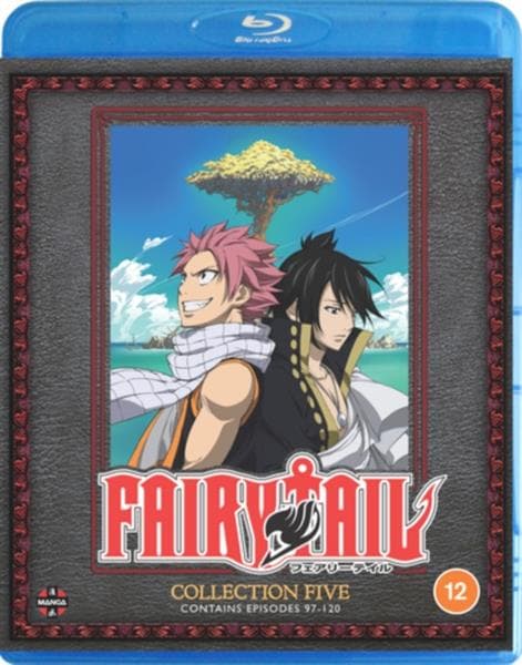 Fairy Tail Collection 5 (episodes 97-120) (Import)