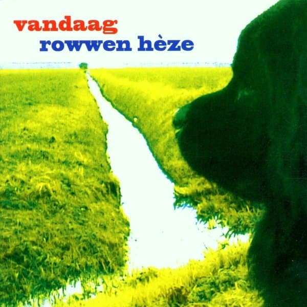 Rowwen Hèze - Vandaag (2 LP)