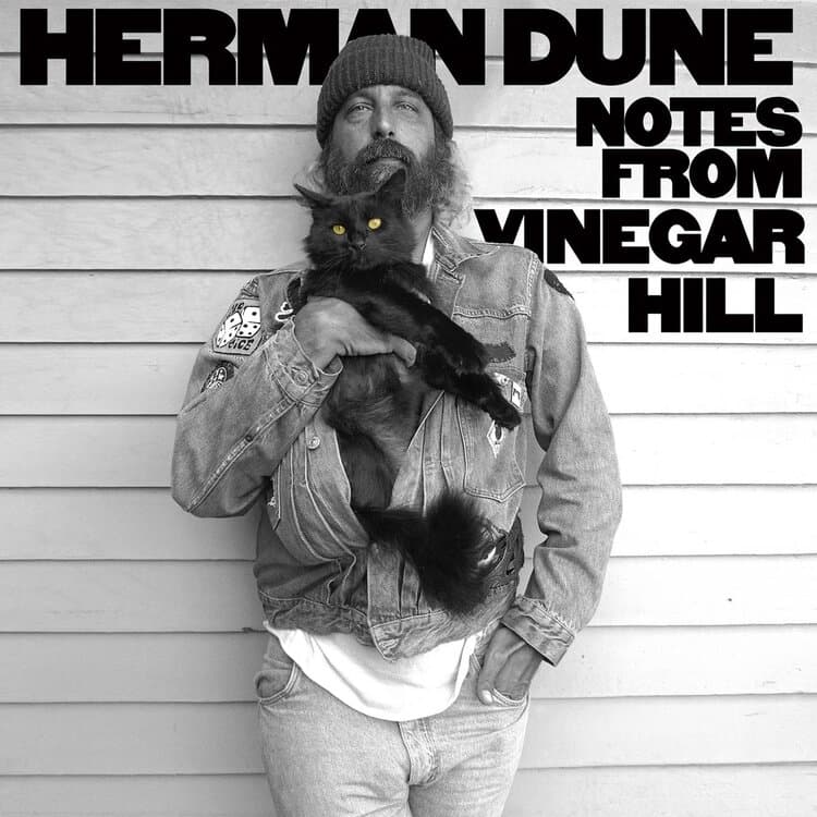 Herman Düne - Notes From Vinegar Hill (CD)