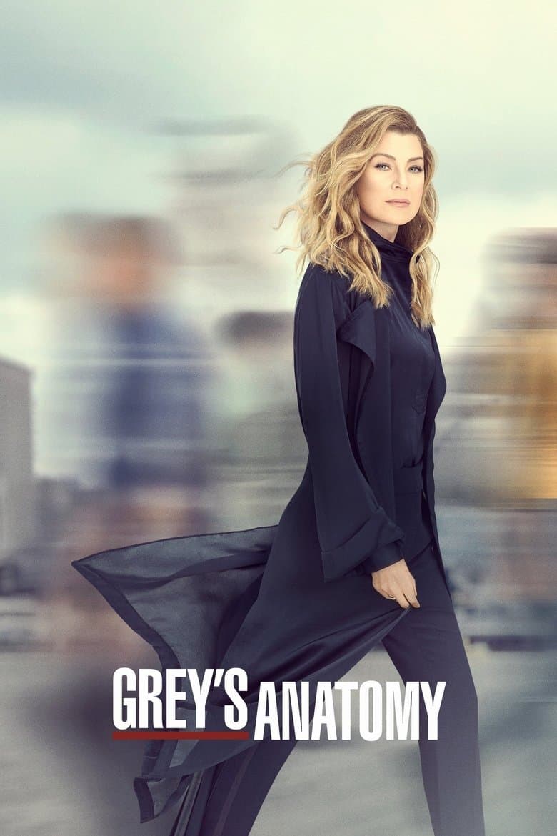 Greys Anatomy Season 16 (Import)