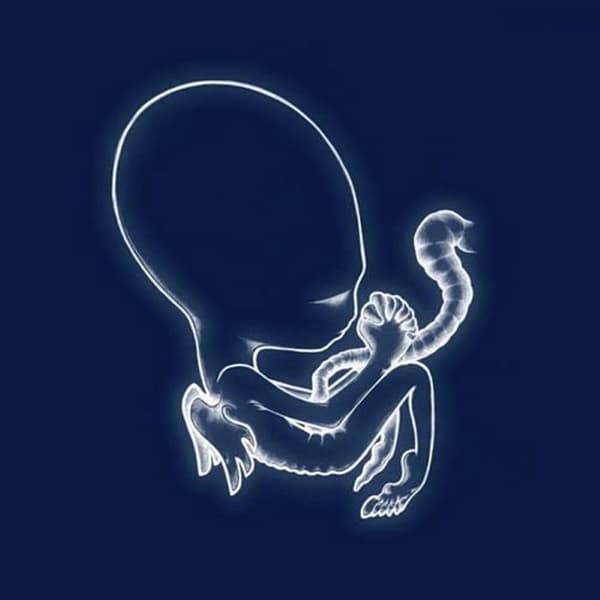 Sigur Ros - Ágætis Byrjun (2 LP)