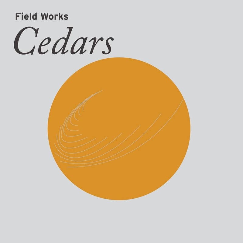 Field Works - Cedars (LP)