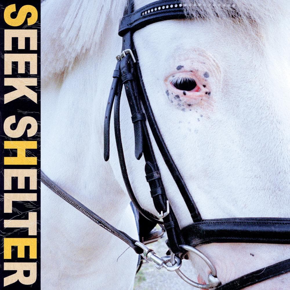 Iceage - Seek Shelter (CD)