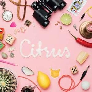 Animal Daydream - Citrus (7" Single)