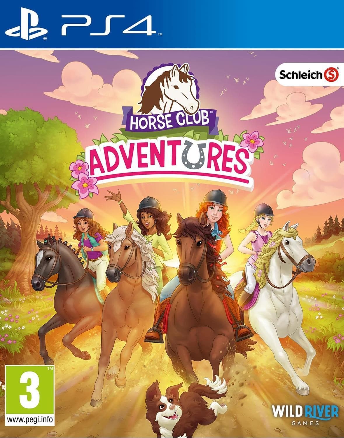Horse club adventures