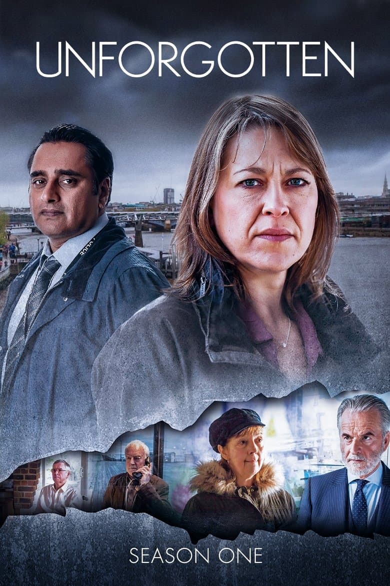 Unforgotten Series 1 - 4 Box Set (Import)