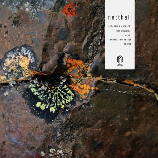 Sebastian Mullaert - Natthall (2 LP)