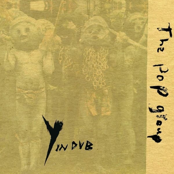 Pop Group - Y In Dub (2 LP)