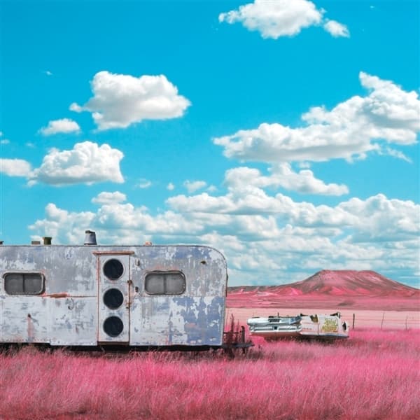 Barton Think - My Last Album (LP)