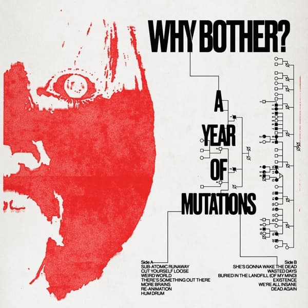Why Bother? - A Year Of Mutations (LP)