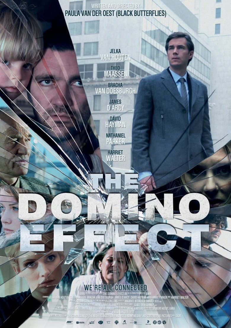 Domino Effect (DVD)