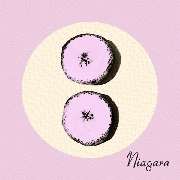 Niagara - Otto (CD)