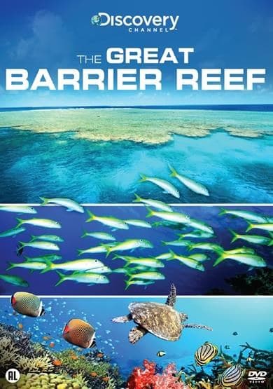 Great barrier reef