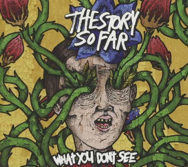The Story So Far - What You Don't See (CD)