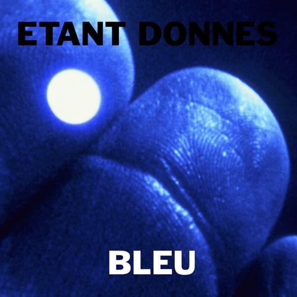 Etant Donnes - Bleu (2 LP)