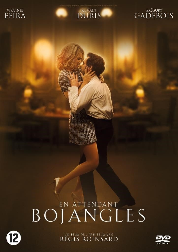 En attendant Bojangles (DVD)