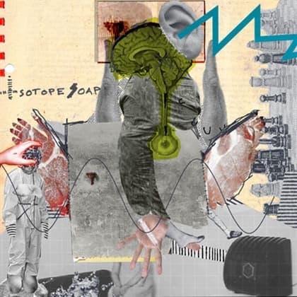 Isotope Soap - In Need Of Systematic Entropy (LP)