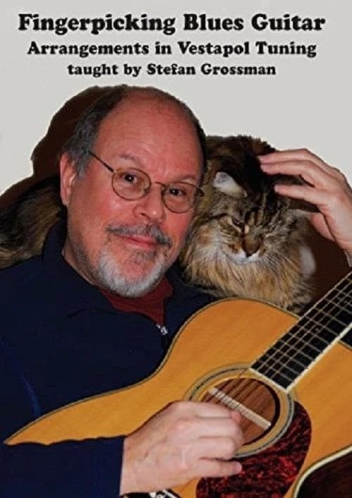 Stefan Grossman - Fingerpicking Blues Guitar (DVD)