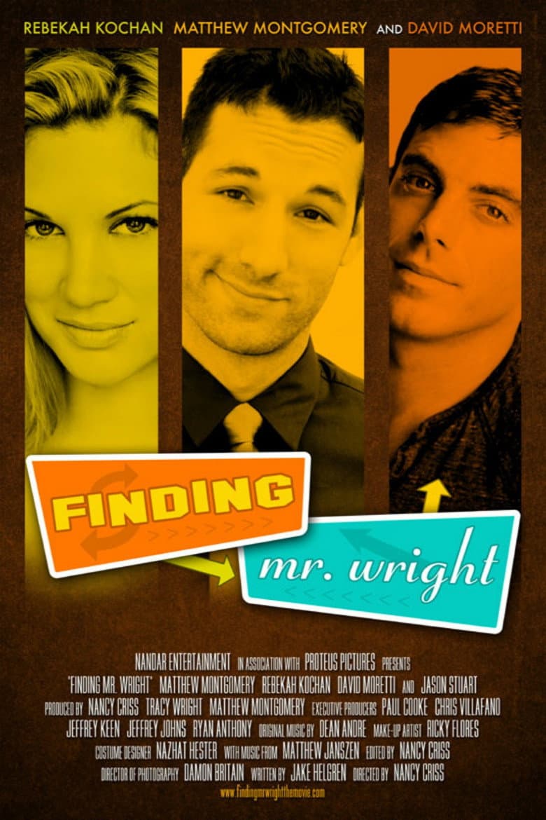 Finding Mr. Wright (DVD)