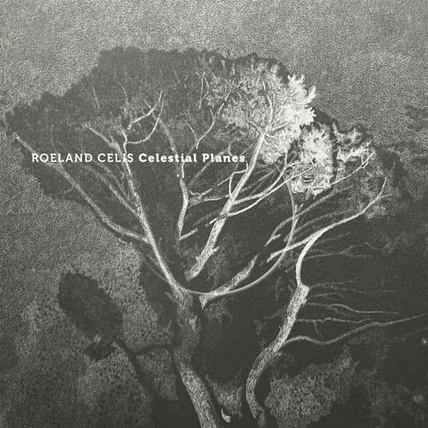 Roeland Celis - Celestial Planes (CD)