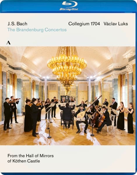 Collegium 1704 & Václav Luks - Brandenburg Concertos 1-6 Bwv 1046-1051 (Blu-ray)