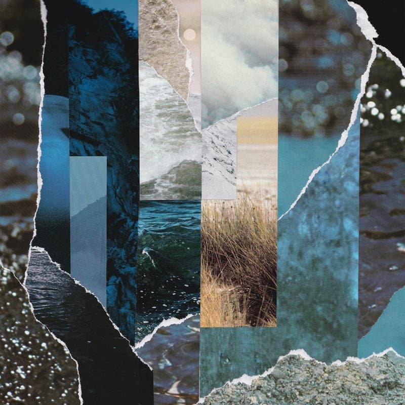 Cremation Lily - Dreams Drenched In Static (LP)