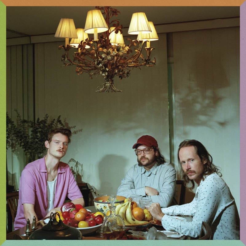 Wilder Maker - Male Models (LP)