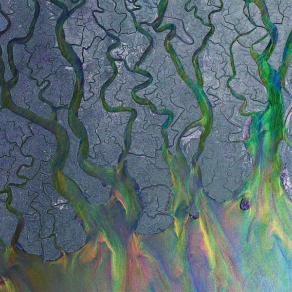 Alt-J - An Awesome Wave (LP) (Coloured Vinyl)