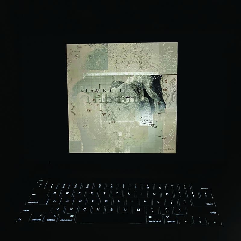 Lambchop - The Bible (2 LP)