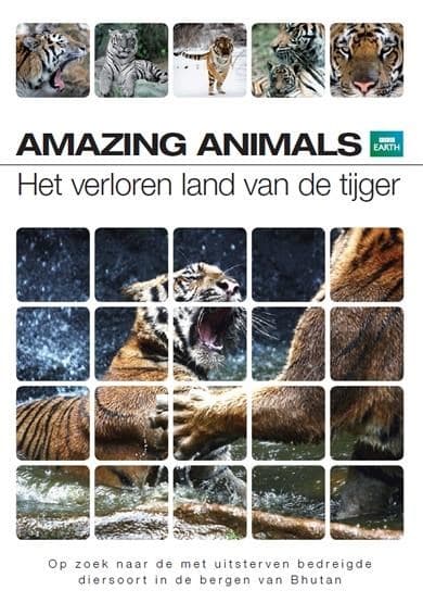 Amazing Animals - Het Verloren Land Van De Tijger