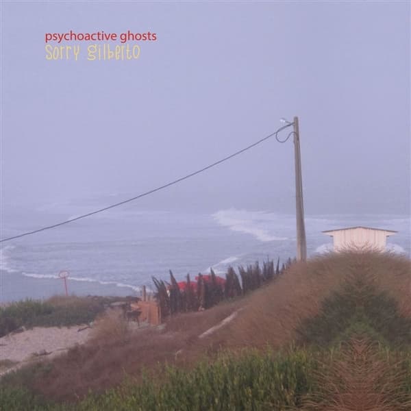 Sorry Gilberto - Psychoactive Ghosts (LP)