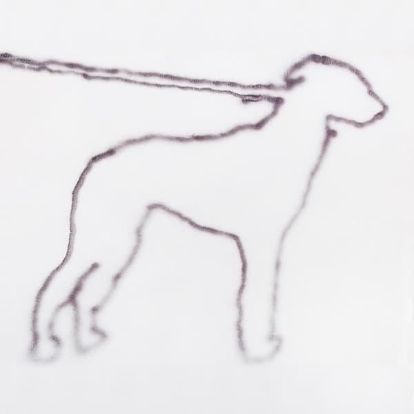 Jonah Yano - Portrait Of A Dog (CD)
